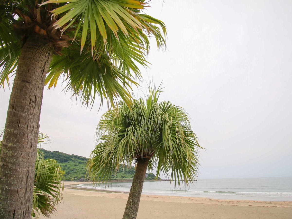 Hotel Drive Inn Yataro Nichinan Exterior foto